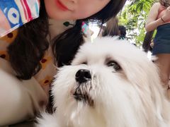 -TrueLove @ Neverland (Husky Cafe)