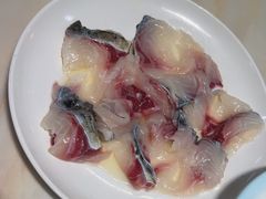 -港升鱼师傅·中山脆肉鲩