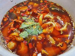 -晓彭肥肠鸡·泡椒鸡火锅(水木天地店)