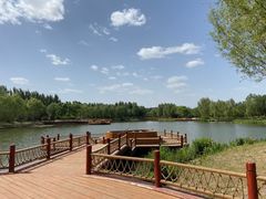 -东郊湿地公园