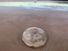 -北戴河东海水浴场