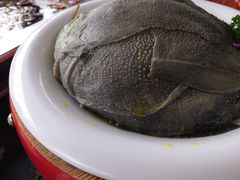 -二荆条·蜀鲜汇城市森林火锅