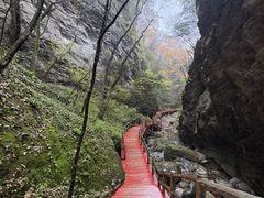 -牛背梁国家森林公园