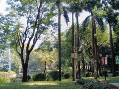-晓港公园