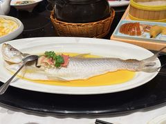 -上海1号私藏菜(黄浦店)