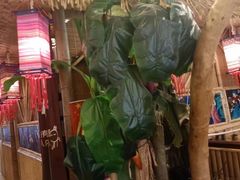 -傣宏缘·云南傣味特色菜·手抓饭·孔雀宴十六年店庆大酬宾(南屏步行街店)