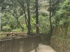 -安徽天堂寨风景区