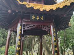 -嘉定紫藤园