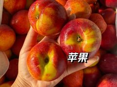 -1982农场