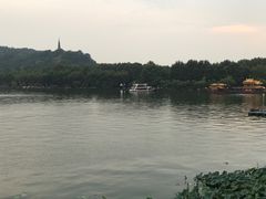 -湖畔居茶楼(湖滨店)
