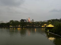 -江心屿景区