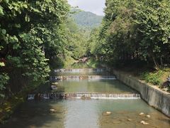 -广州白江湖森林公园