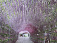 -山乡农家院(海淀区西北旺店)