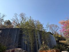 -七彩云南古滇温泉山庄