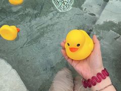 -扬州瘦西湖温泉