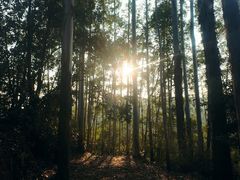 -三门江国家森林公园