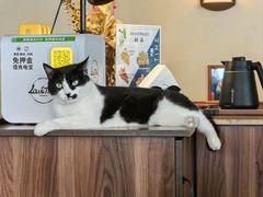 -路易时光(蕴川路店)