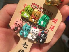 -猫咪博物馆(顶澳仔猫街店)