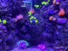 -成都浩海立方海洋公园