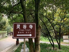 -灵谷景区