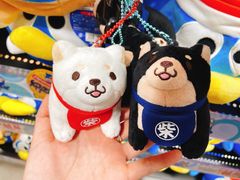 -DON DON DONKI(名珠城店)