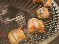 鳗鱼-麻蒲碳烤肉(远景路1号店)