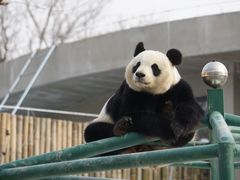 -天津市动物园