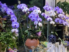 -弗劳尔花艺坊(龙涛店)