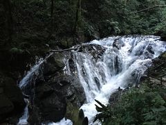 -莫里热带雨林景区