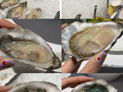 -Oyster Talks 四度蚝法餐厅