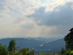 -黄埔油麻山森林公园