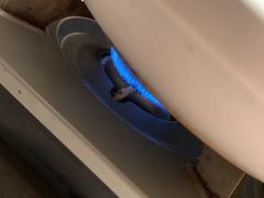 -老湘亲·品鉴湘菜(湖里店)