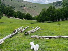 -克什克腾世界地质公园青山景区