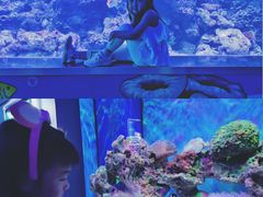 -石家庄海洋公园
