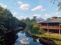 -奥兰多迪士尼动物王国乐园