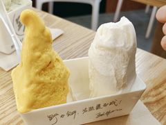 -野人先生Gelato(上海长宁龙之梦店)
