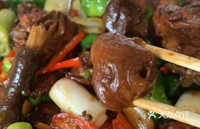 Special Classic Rooster