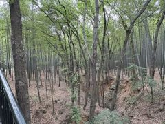 -虞山风景区