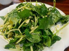 凉拌荆芥-伊犁羊杂馆