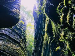 -梭布垭石林景区