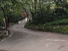 -渣滓洞