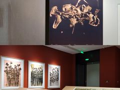 -南越王博物院(王宫展区)
