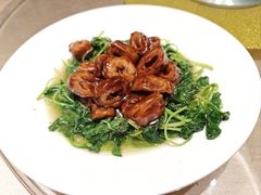 -紫阳富豪大酒店(惠南店)