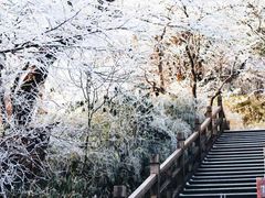 -梵净山旅游区