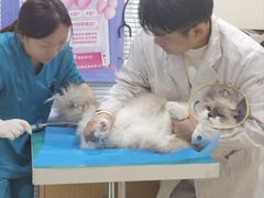 -美迦爱-牙专科·兔科·骨科诊疗中心(北苑店)