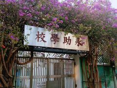 -大澳