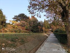 -青岛德国总督楼旧址博物馆