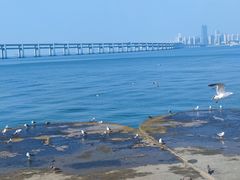-星海广场