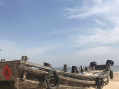 -日照海滨国家森林公园