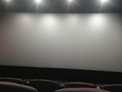 放映厅-华星国际影城